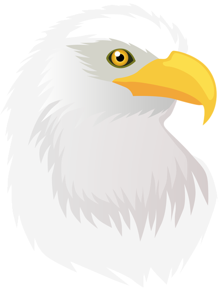 This png image - Eagle Head Transparent PNG Clip Art Image, is available for free download