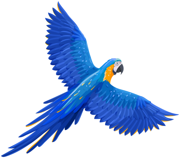 This png image - Flying Blue Parrot PNG Clipart, is available for free download