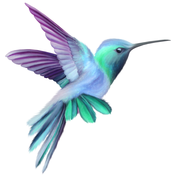 free animated hummingbird clipart - photo #15