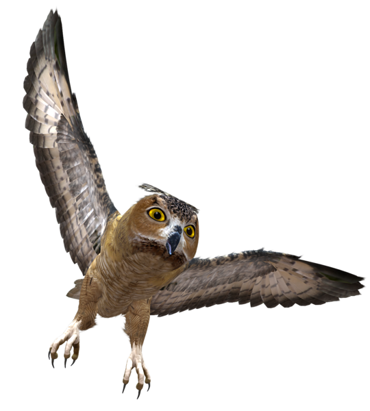 This png image - Owl in Flight PNG Clipart, is available for free download