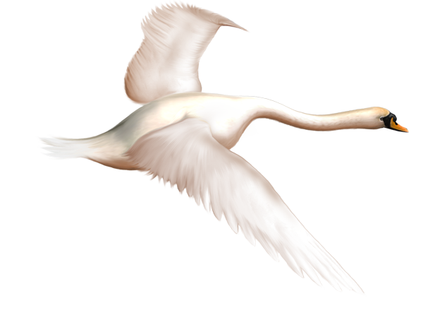 This png image - Painted Swan in Flight Free Clipart, is available for free download