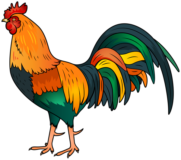 rooster clipart - photo #10
