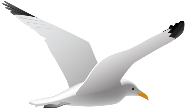 This png image - Seagull PNG Clip Art Image, is available for free download