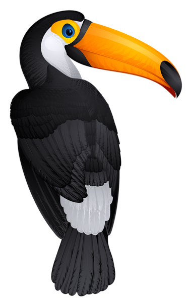 This png image - Toucan Bird PNG Clipart Picture, is available for free download