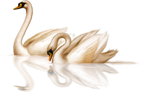 Two Bronze Swans Clip-art