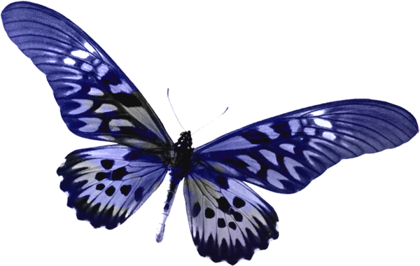 Blue Transparent Butterfly Clipart | Gallery Yopriceville - High