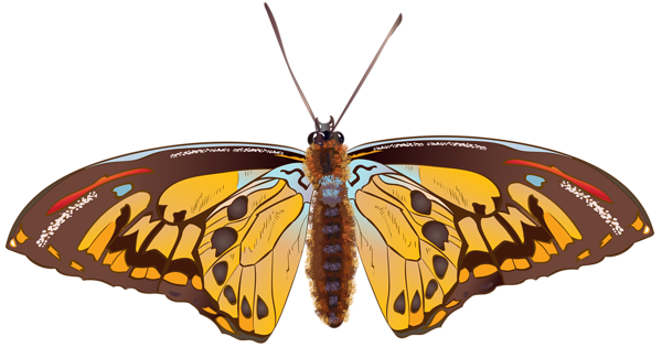 This png image - Brown Butterfly PNG Clip Art Image, is available for free download