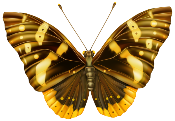 This png image - Brown and Yellow Butterfly Clipart PNG Image, is available for free download