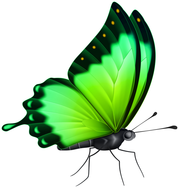 This png image - Butterfly Color Green PNG Clipart, is available for free download