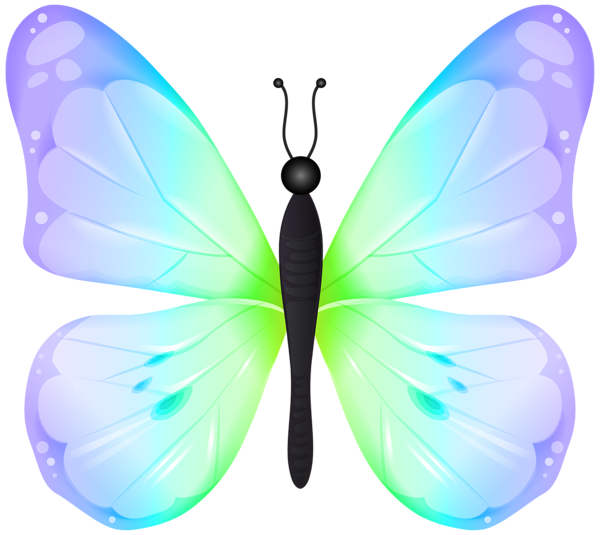 This png image - Butterfly Colorful PNG Transparent Clipart, is available for free download