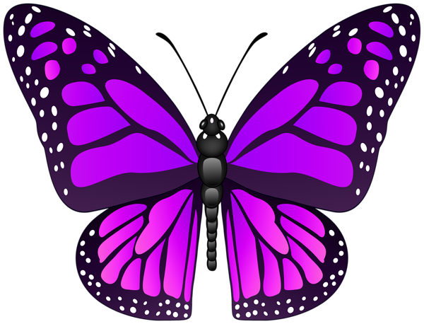 This png image - Butterfly Decorative Transparent Image, is available for free download