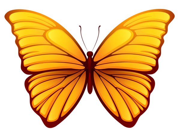butterfly clipart png - photo #39