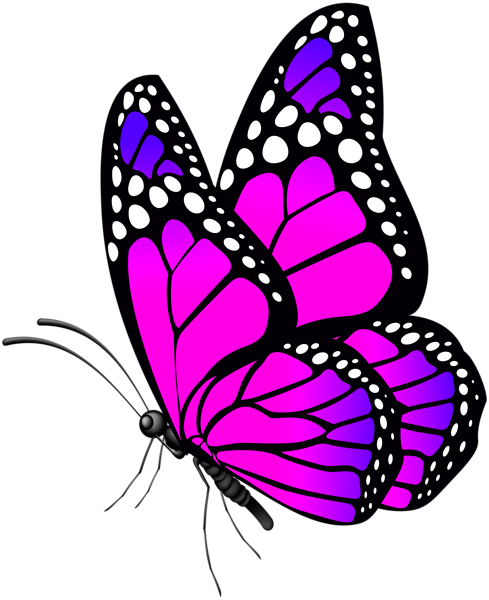 butterfly pink png clip art image gallery yopriceville christmas bells clipart