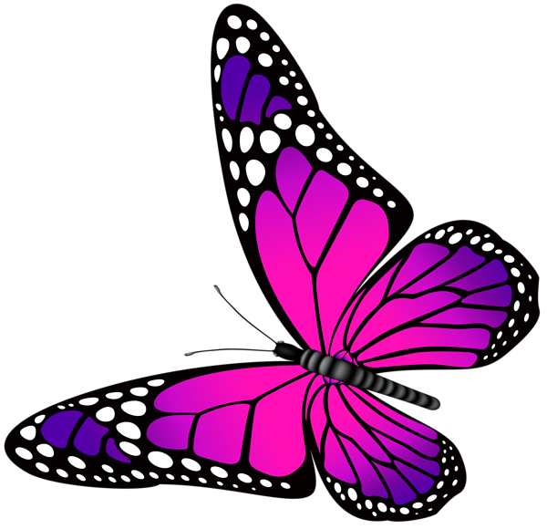 This png image - Butterfly Pink and Purple Transparent PNG Clip Art Image, is available for free download