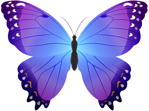 butterfly clipart png - photo #40