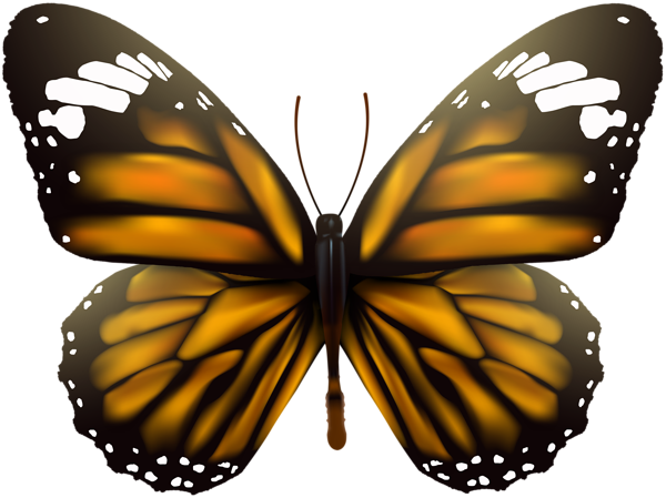 This png image - Butterfly Transparent Clip Art Image, is available for free download