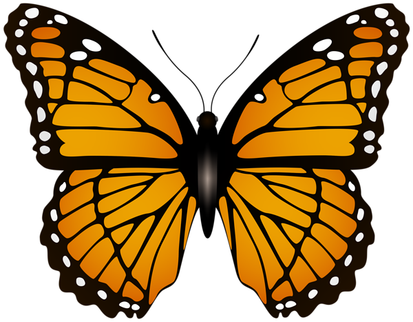 This png image - Butterfly Transparent Image, is available for free download