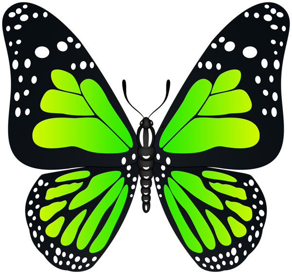 This png image - Green Butterfly Transparent PNG Image, is available for free download