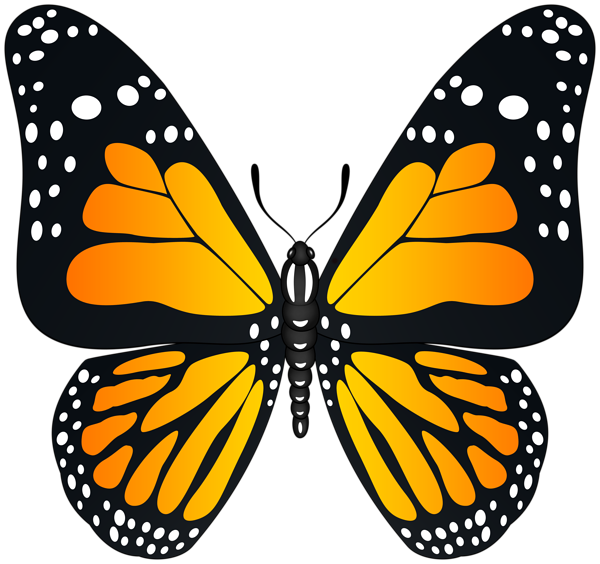 This png image - Orange Butterfly Transparent PNG Image, is available for free download