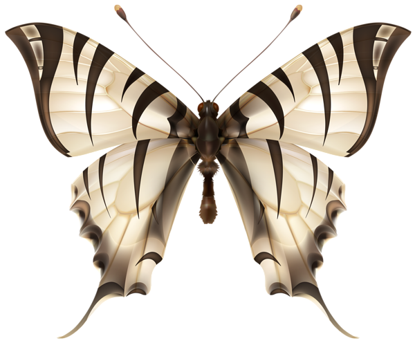 This png image - Tiger Butterfly PNG Clip Art Image, is available for free download
