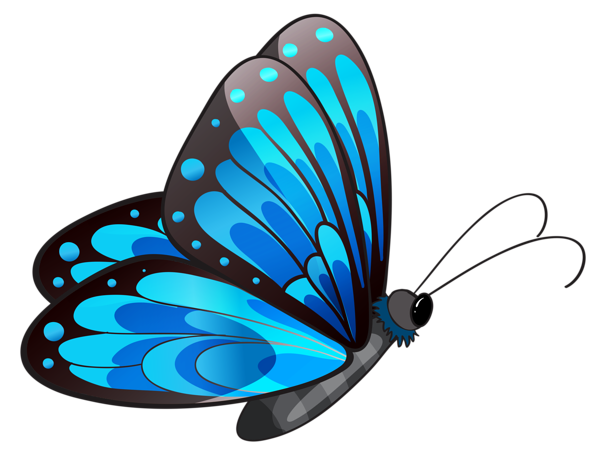 png clipart- butterfly pack - photo #18