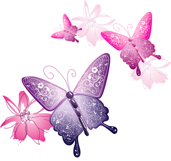 Transparent_Butterfly_Decorative_Clipart.png