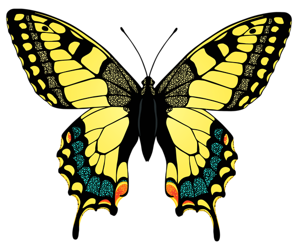 This png image - Yellow Butterfly PNG Image, is available for free download