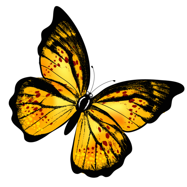 This png image - Yellow Transparent Butterfly PNG Clipart Picture, is available for free download