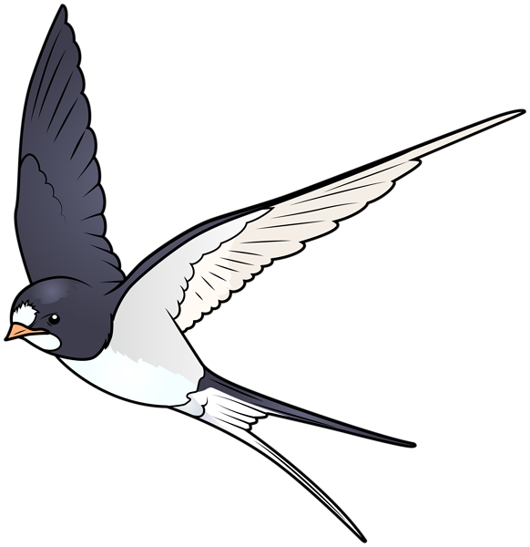 Cartoon Bird PNG Transparent Image | Gallery Yopriceville - High