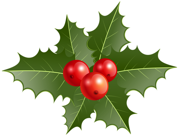 holly clip art png - photo #35