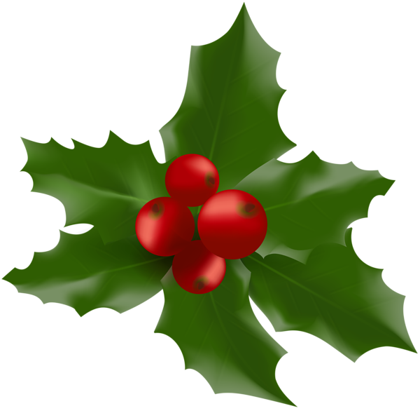 This png image - Christmas Mistletoe Large PNG Clipart Image, is available for free download