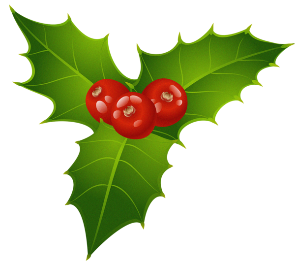 This png image - Christmas Mistletoe PNG Clipart, is available for free download