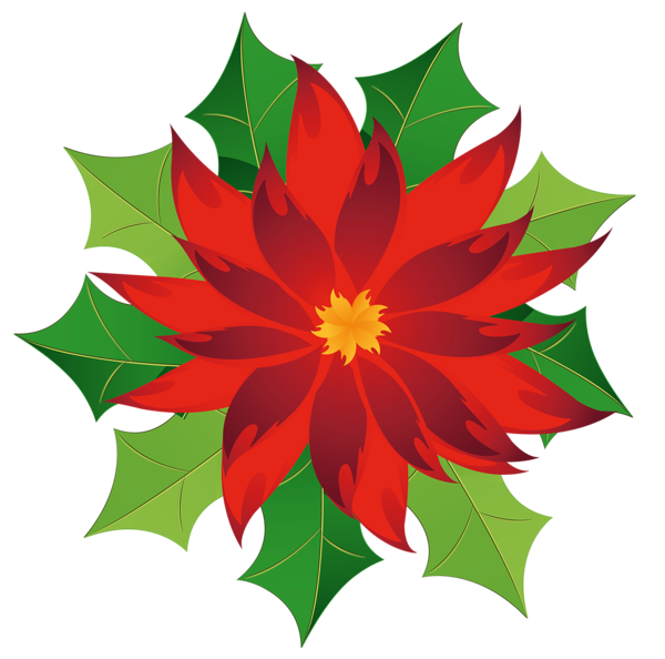 This png image - Christmas Poinsettia Clipart, is available for free download