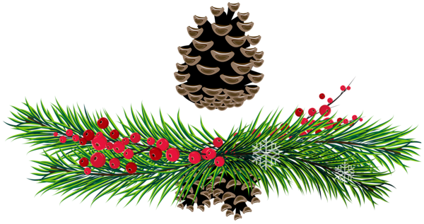 This png image - Pine Branches and Pine Cones PNG Picture, is available for free download