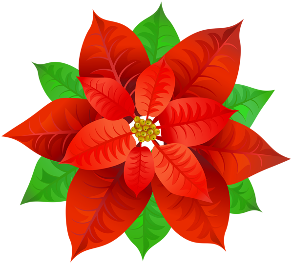 This png image - Poinsettia Transparent PNG Image, is available for free download