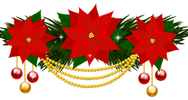 This png image - Poinsettias Decoration PNG Clipart Image, is available for free download