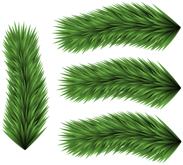 This png image - Set of Pine Branches Clip Art Image, is available for free download