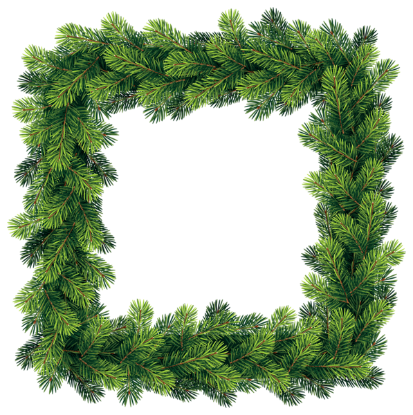 This png image - Transparent Pine Border Frame PNG Clip Art Image, is available for free download