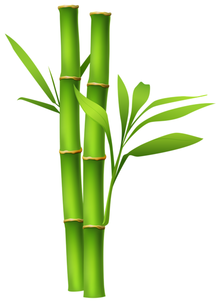 clipart bamboo leaves - photo #39