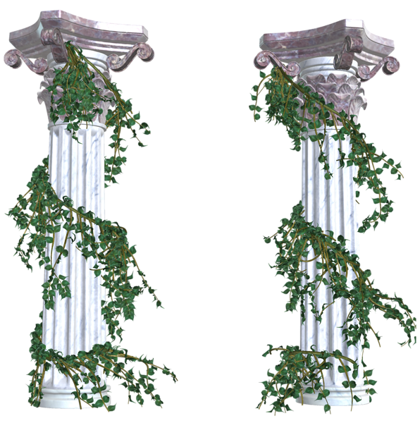 زخارف سكرابيه للتصميم  بنرات اشرطة ورود ستائر لتصميم بدون تحميل  Beautiful_Columns_with_Vines_PNG_Decorative_Elements