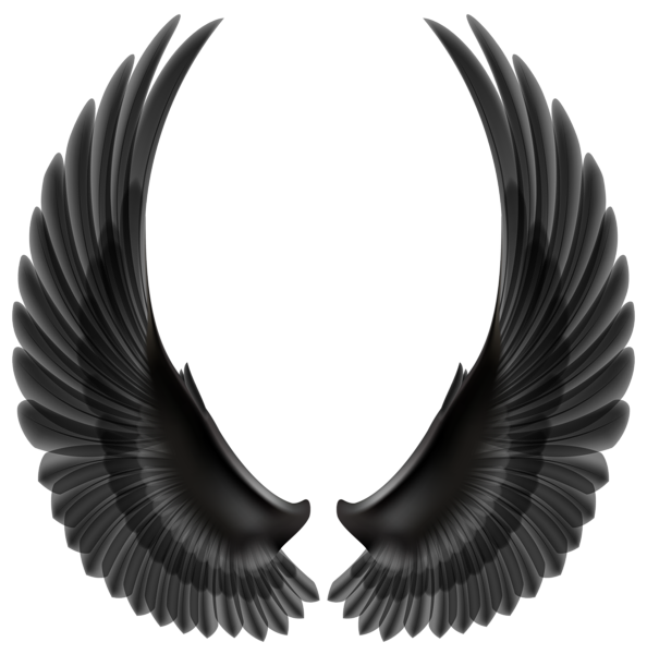 This png image - Black Wings PNG Clip Art Image, is available for free download