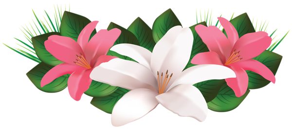 This png image - Decorative Flowers Transparent Image, is available for free download