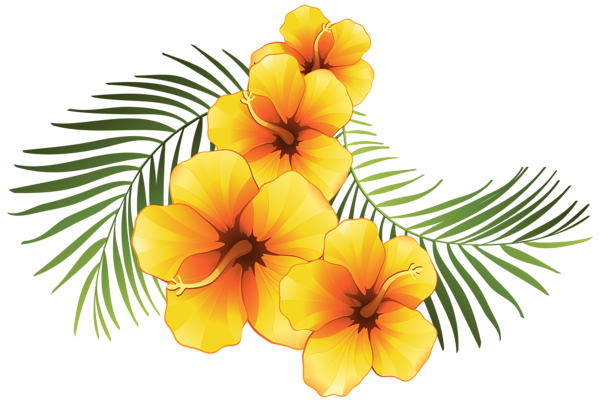 This png image - Exotic Floral Decoration Transparent PNG Clip Art Image, is available for free download