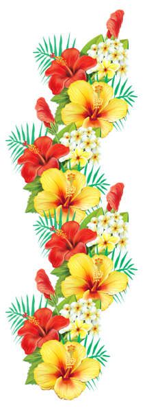 زخارف سكرابيه للتصميم  بنرات اشرطة ورود ستائر لتصميم بدون تحميل  Exotic_Flowers_Decor_PNG_Clipart