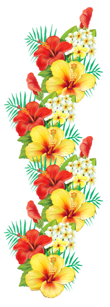 Exotic Flowers Decor PNG Clipart | Gallery Yopriceville - High-Quality