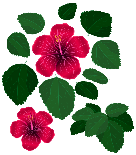 Flores hermosas y otras imagenes en PNG Flower_and_Leaves_for_Decorations_Transparent_Clipart