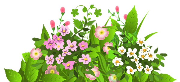 Flores hermosas y otras imagenes en PNG Flowers_Decorative_Element_PNG_Picture