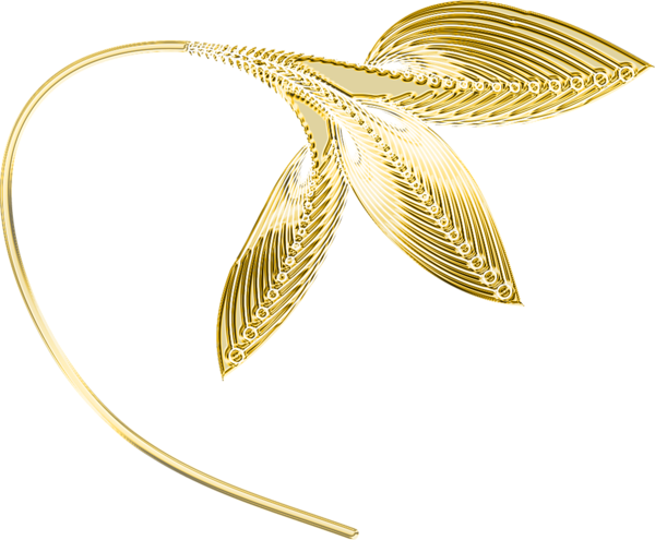 زخارف سكرابيه للتصميم  بنرات اشرطة ورود ستائر لتصميم بدون تحميل  Gold_Decorative_Leaves_PNG_Clipart