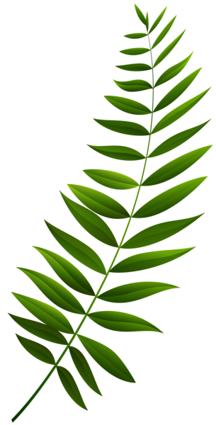 This png image - Green Branch Transparent Clip Art Image, is available for free download