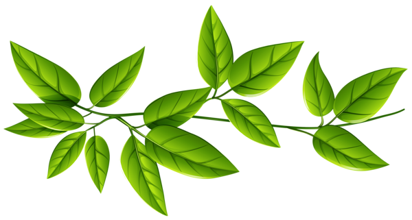 This png image - Green Leaves PNG Image, is available for free download